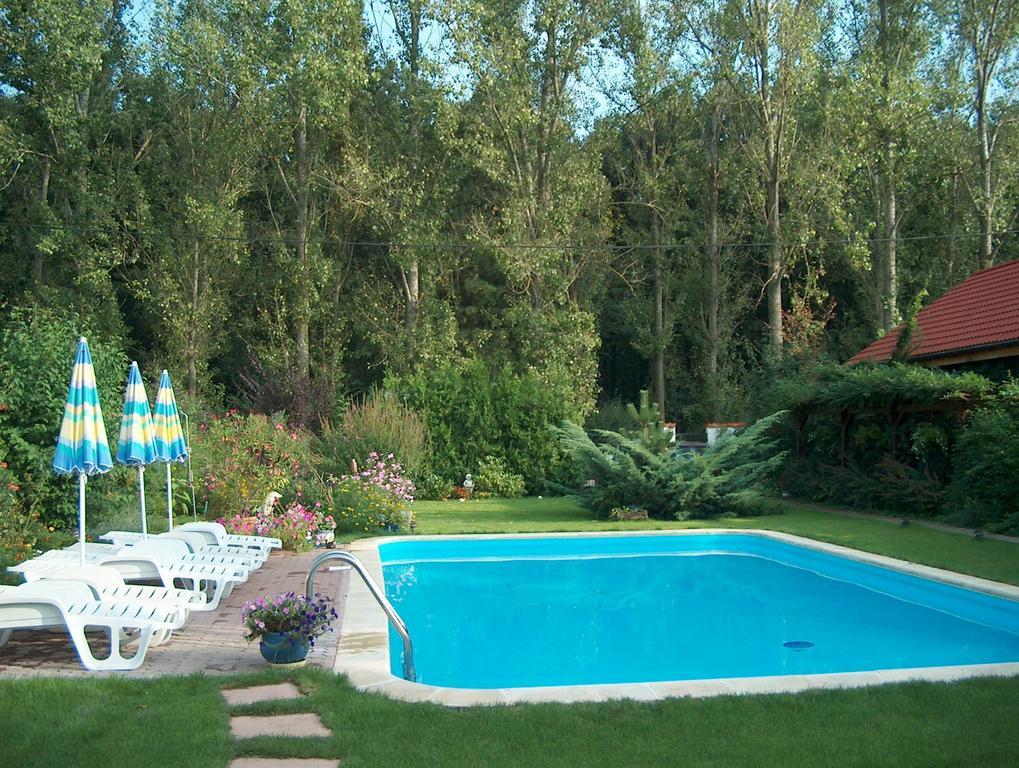 Vila Poiana Snagov Pokoj fotografie