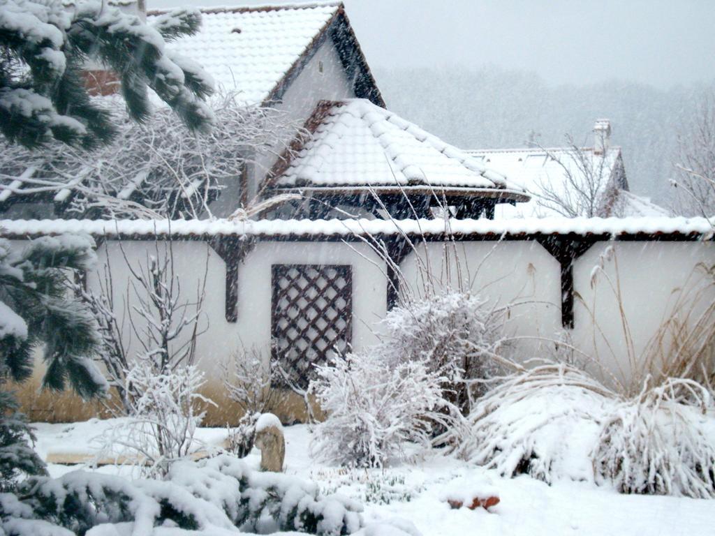 Vila Poiana Snagov Exteriér fotografie